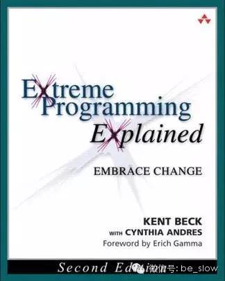 extreme_programming.jpg